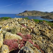 Le Désert des Agriates (Corse)