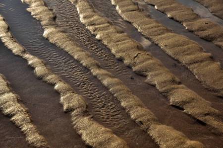 Vagues de sable